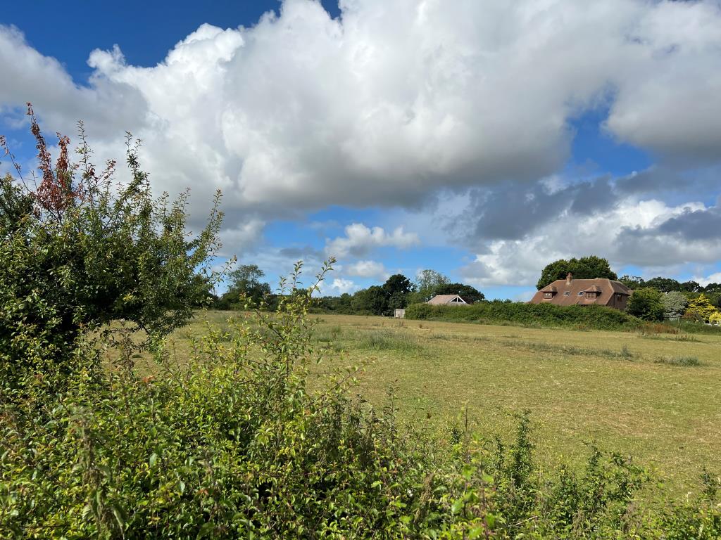 Lot: 58 - OVER FOUR ACRES OF FREEHOLD LAND WITH DEVELOPMENT POTENTIAL -